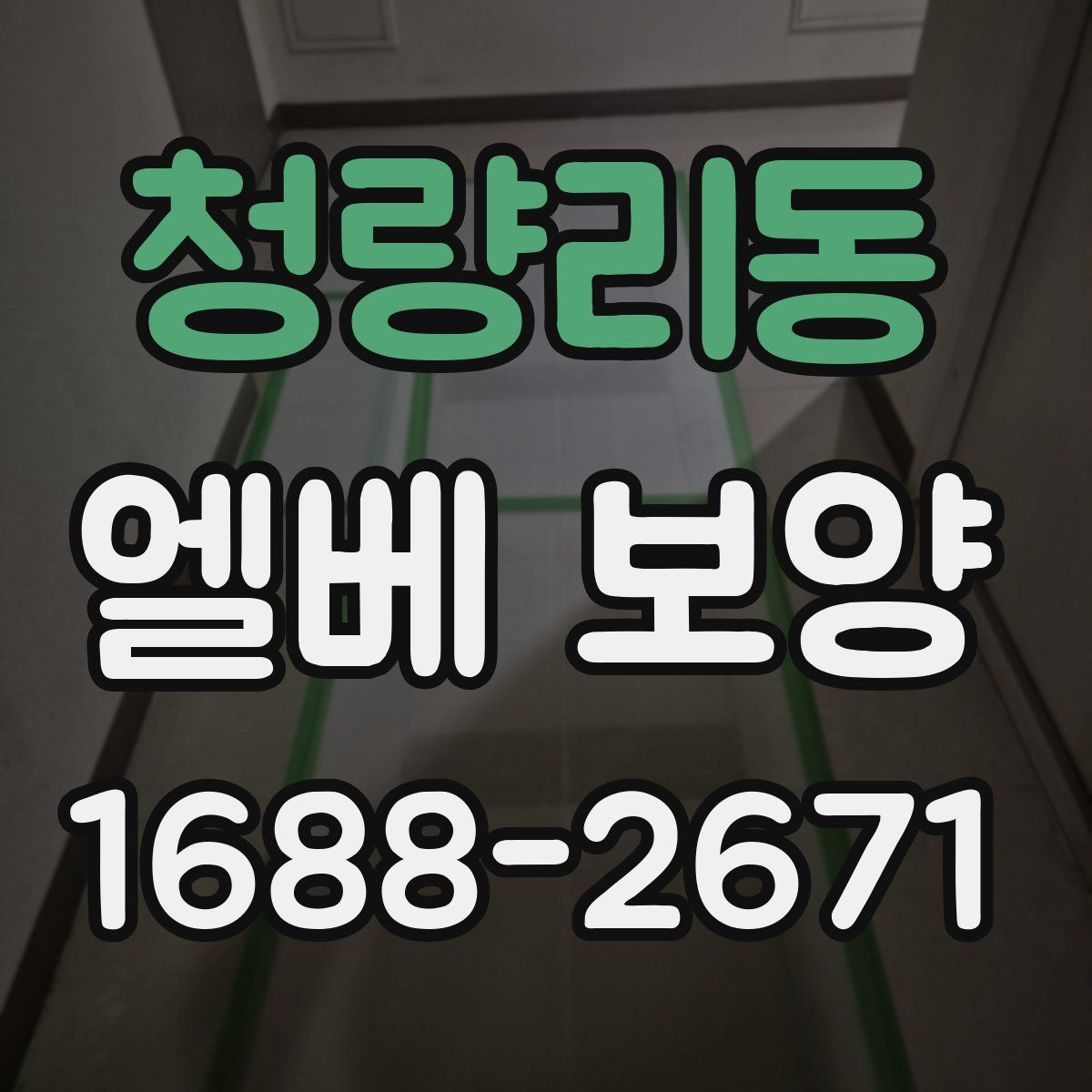 청량리동 엘베 보양