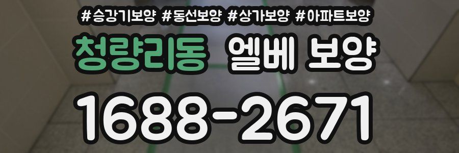 청량리동 엘베 보양