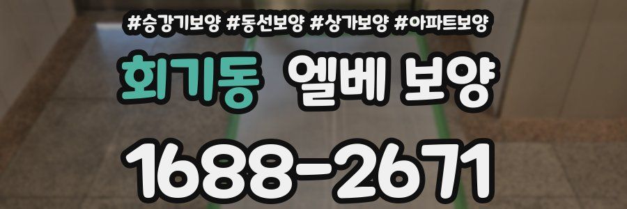 회기동 엘베 보양