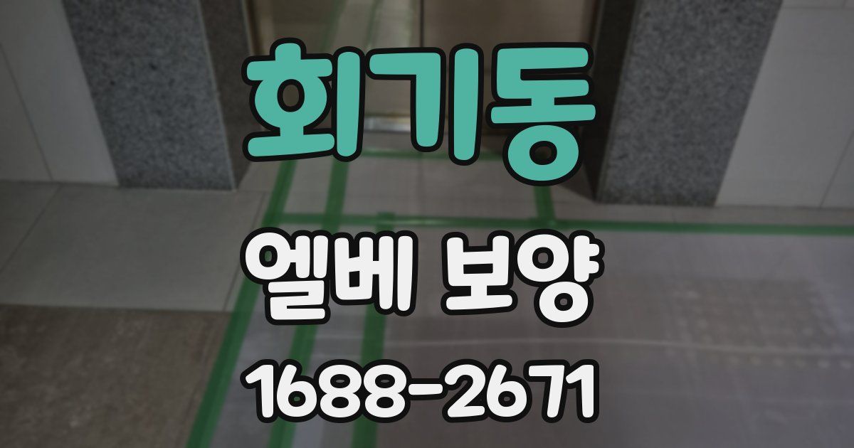 회기동 엘베 보양