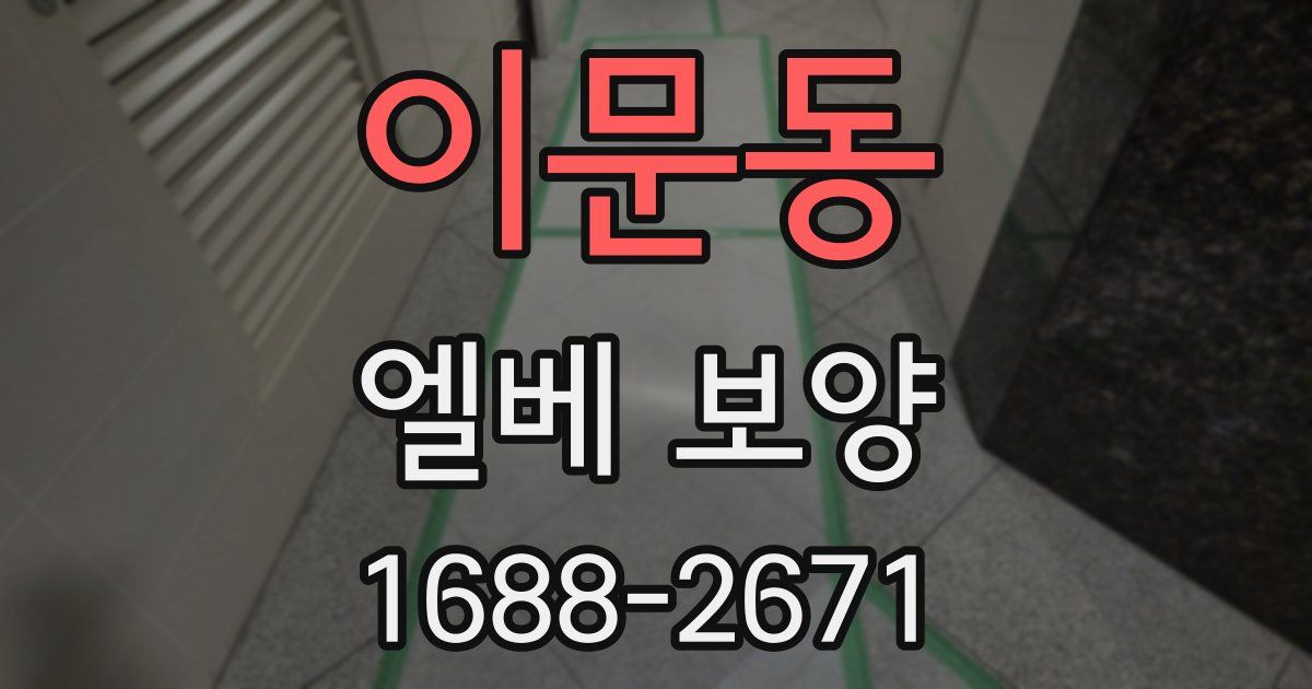 이문동 엘베 보양