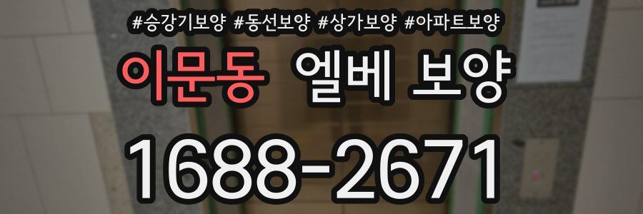 이문동 엘베 보양