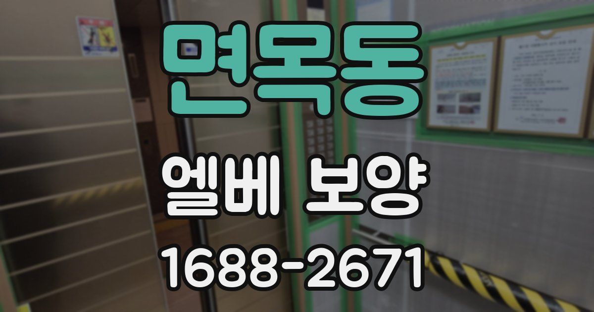 면목동 엘베 보양