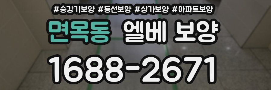 면목동 엘베 보양