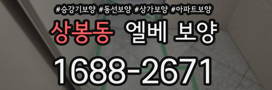 상봉동 엘베 보양