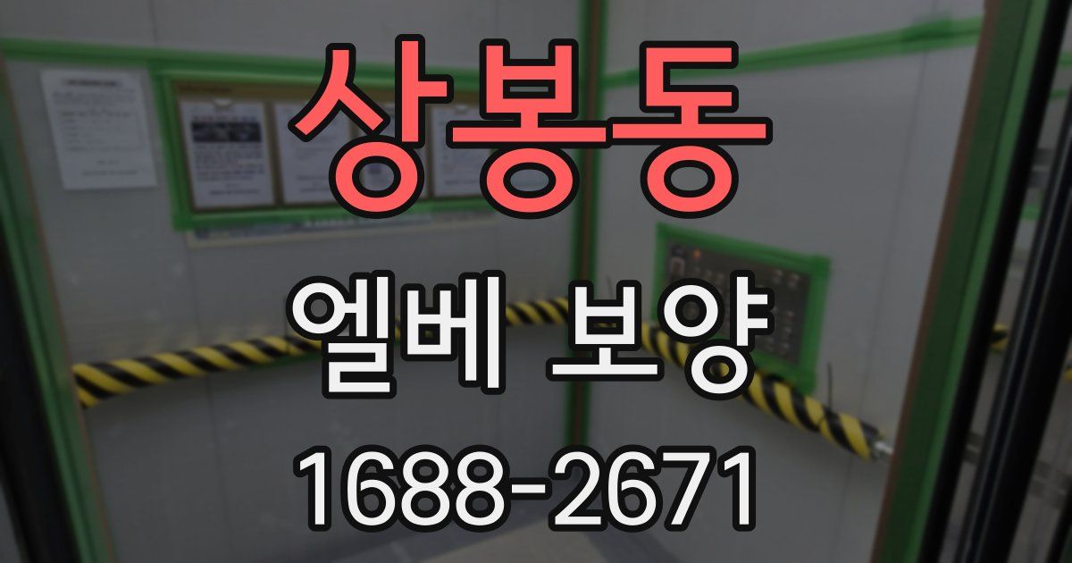 상봉동 엘베 보양