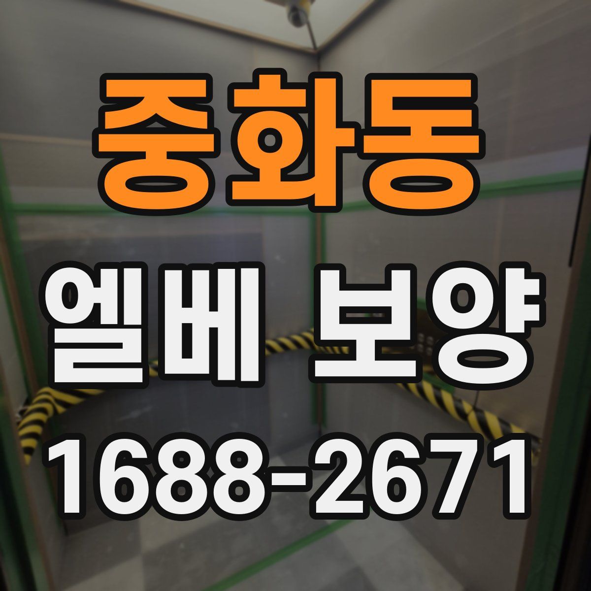 중화동 엘베 보양