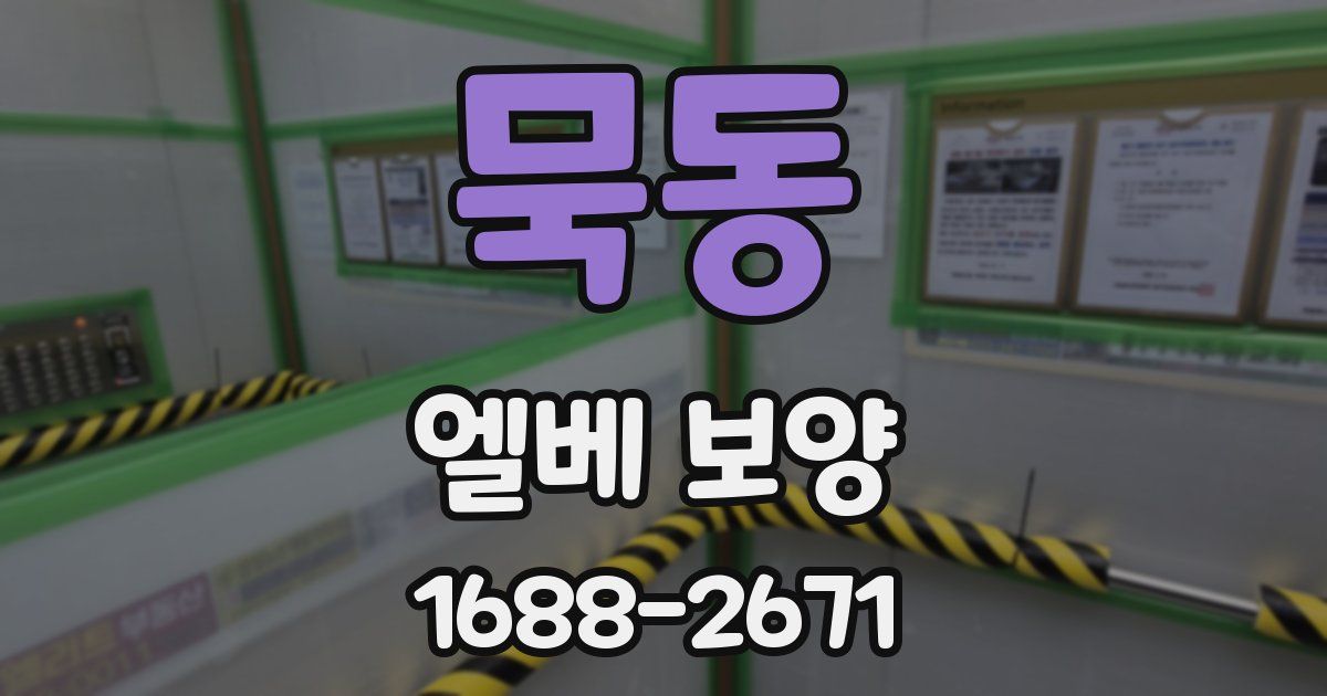 묵동 엘베 보양