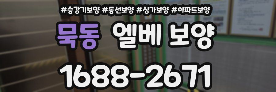 묵동 엘베 보양