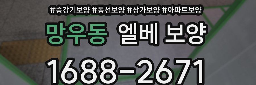 망우동 엘베 보양