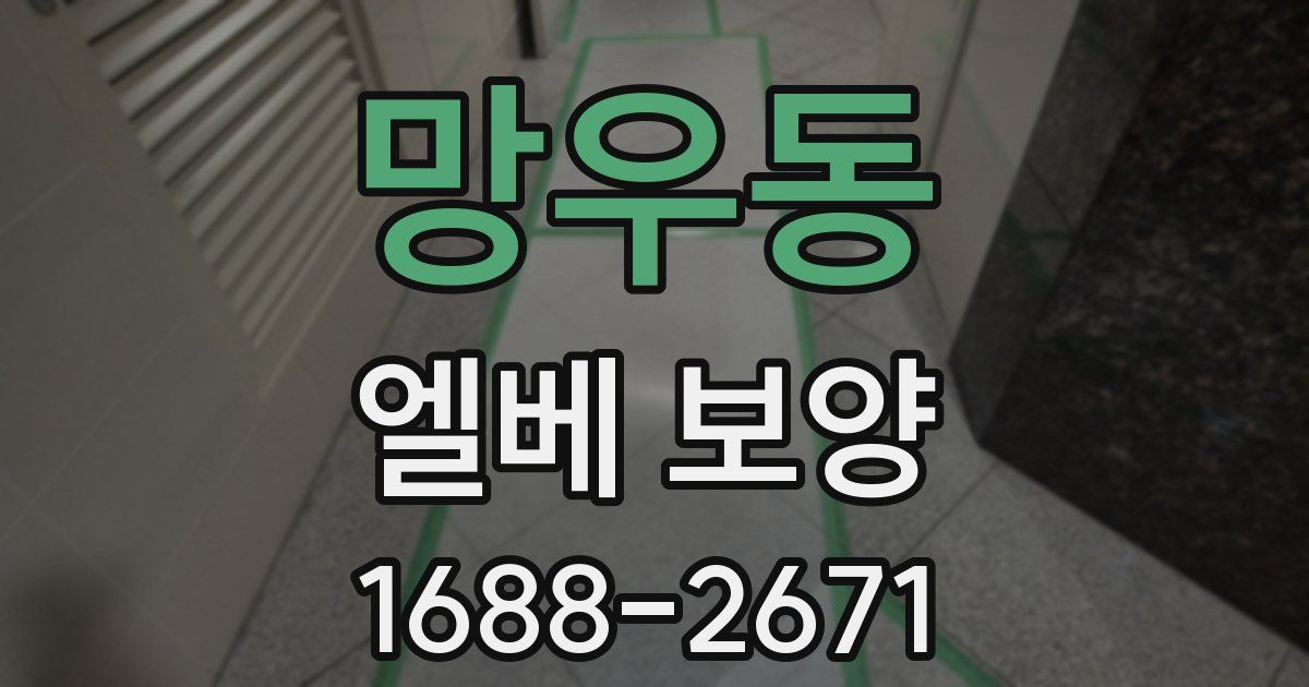 망우동 엘베 보양