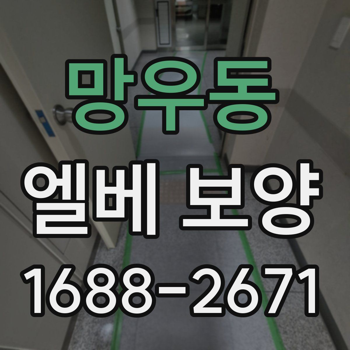 망우동 엘베 보양