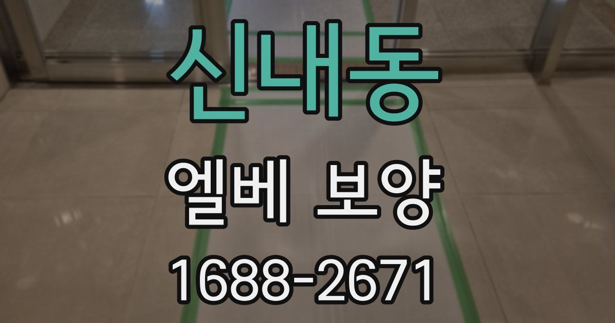 신내동 엘베 보양