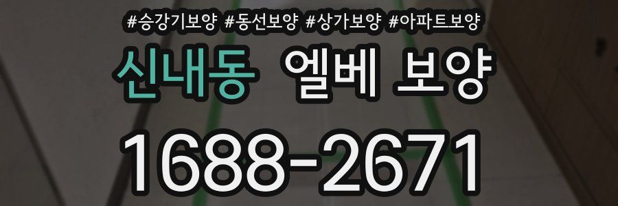 신내동 엘베 보양