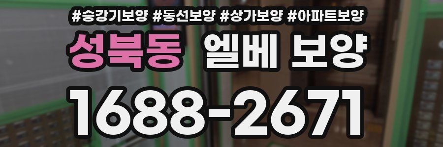 성북동 엘베 보양