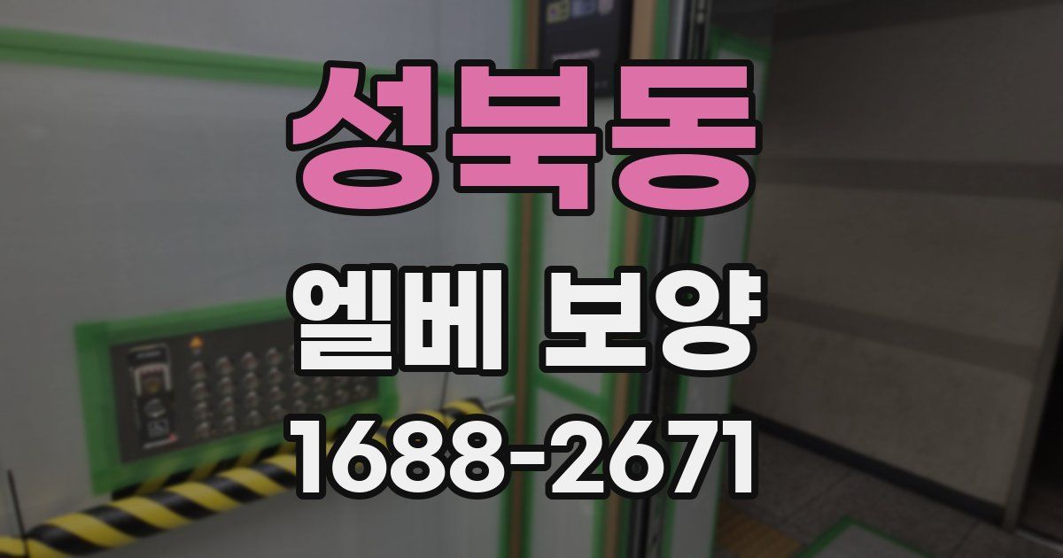 성북동 엘베 보양