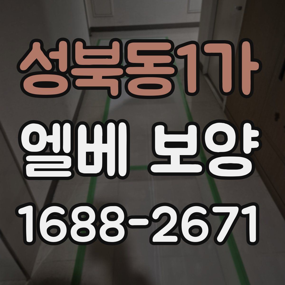 성북동1가 엘베 보양 훼손 흔적 점검과 정리 방법