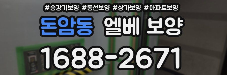 돈암동 엘베 보양