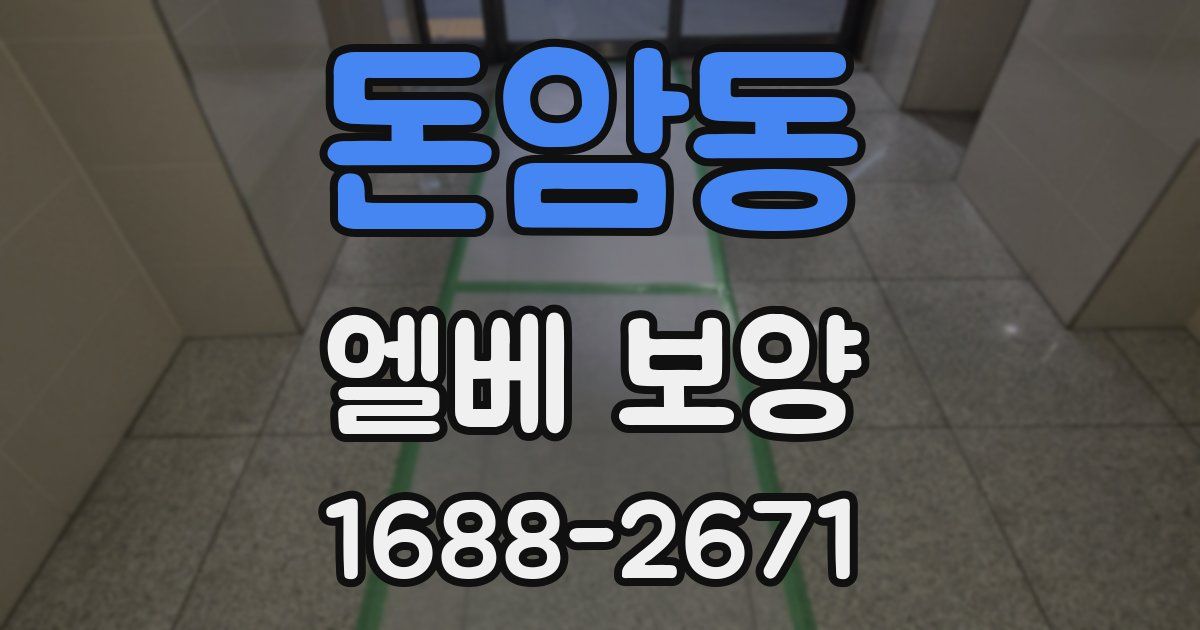 돈암동 엘베 보양