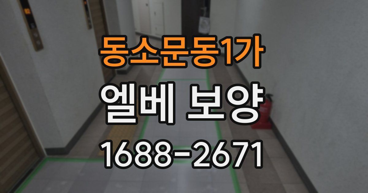 동소문동1가 엘베 보양