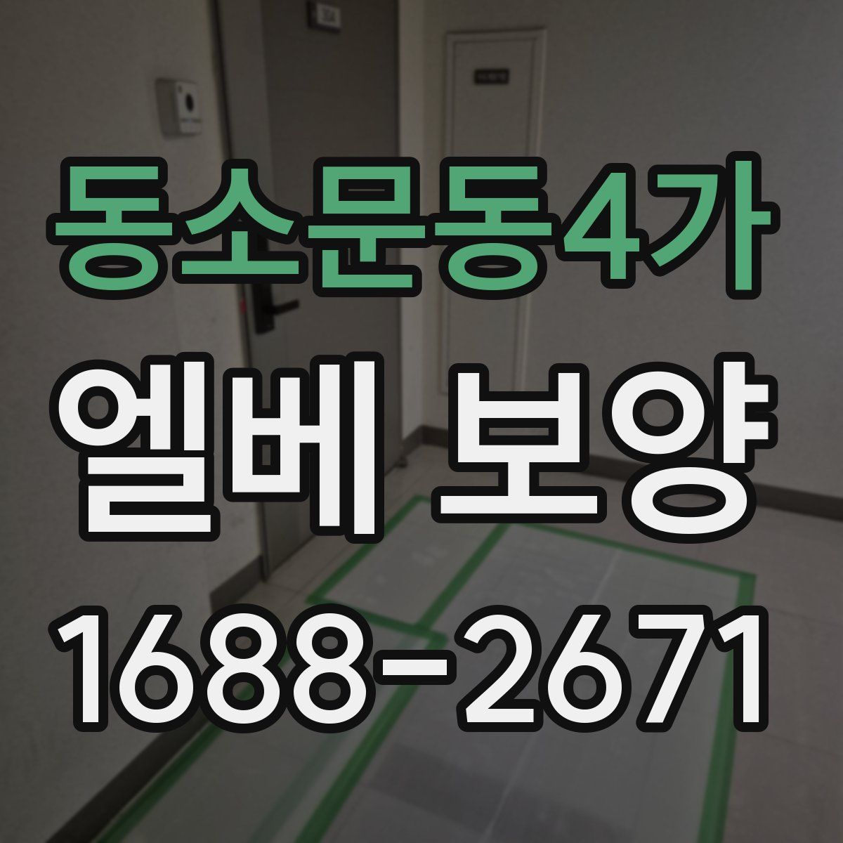 동소문동4가 엘베 보양
