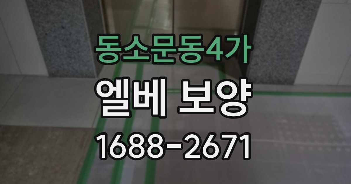동소문동4가 엘베 보양
