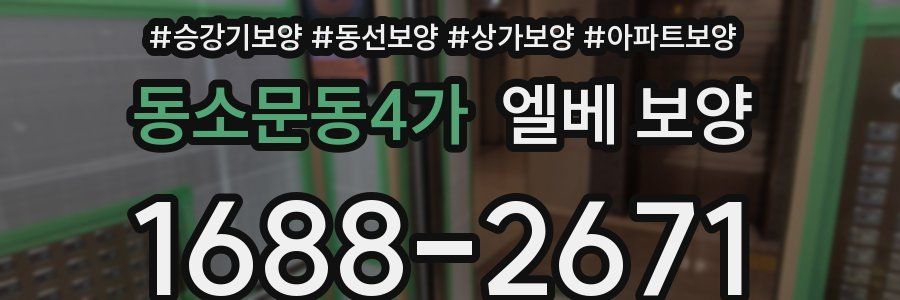 동소문동4가 엘베 보양