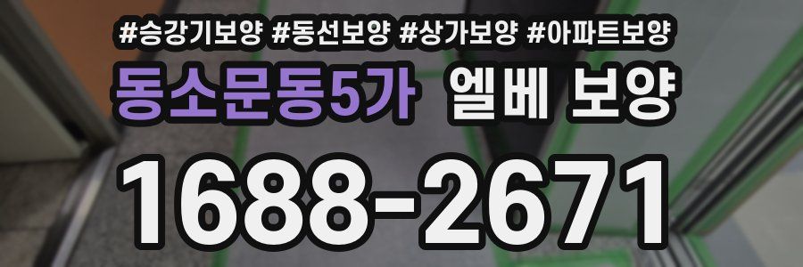 동소문동5가 엘베 보양