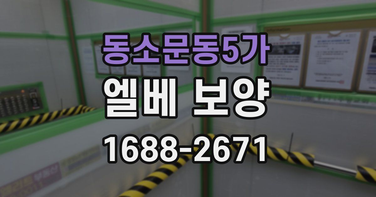 동소문동5가 엘베 보양