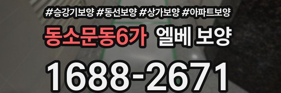 동소문동6가 엘베 보양