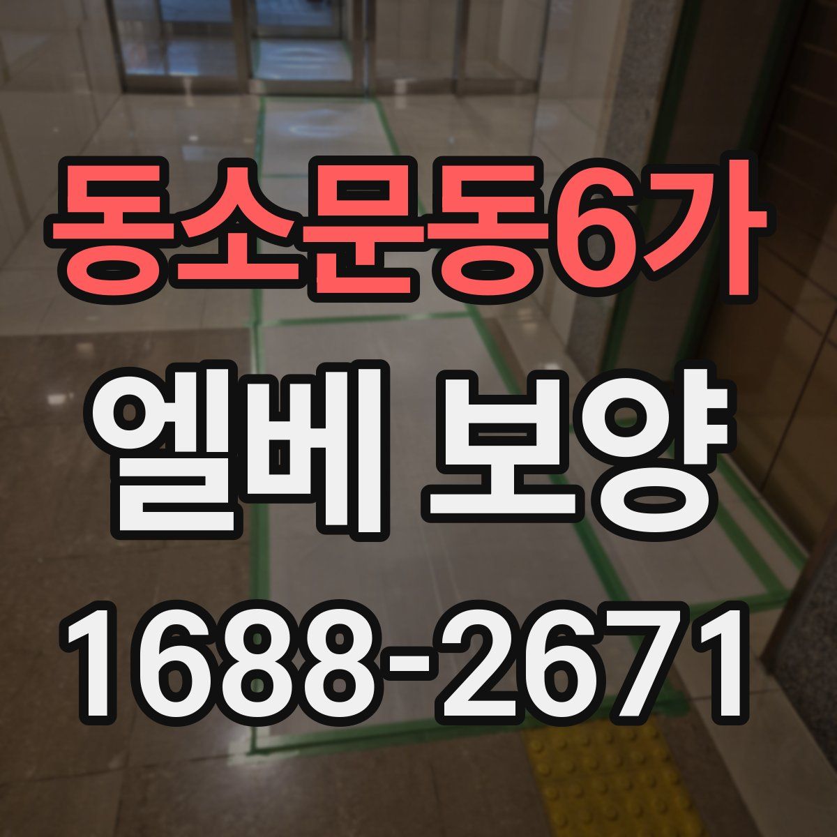 동소문동6가 엘베 보양