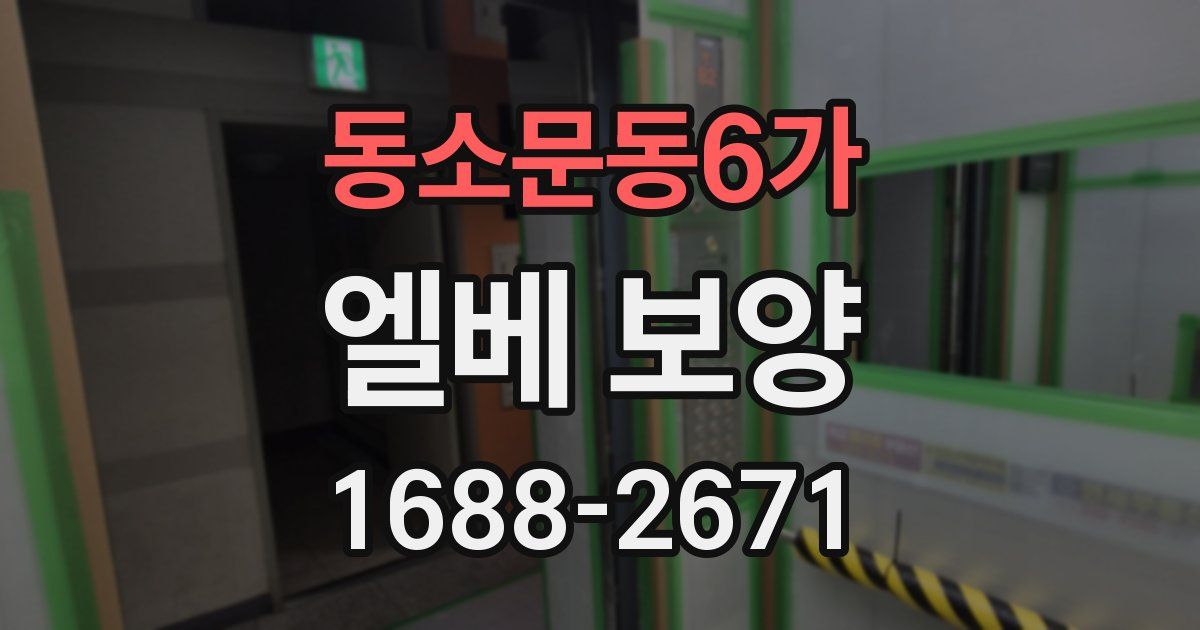 동소문동6가 엘베 보양