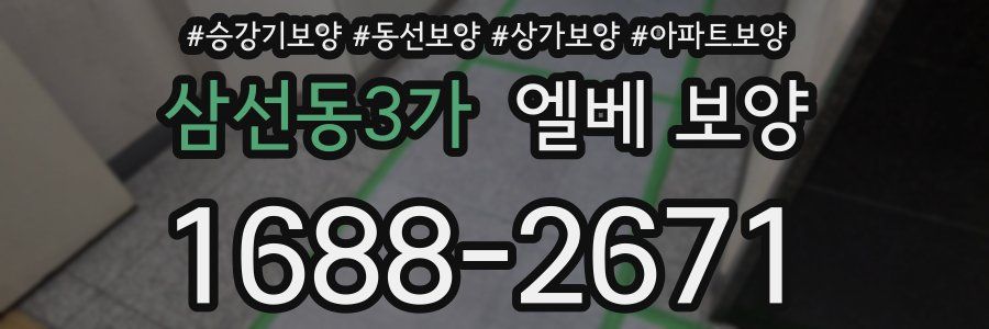 삼선동3가 엘베 보양