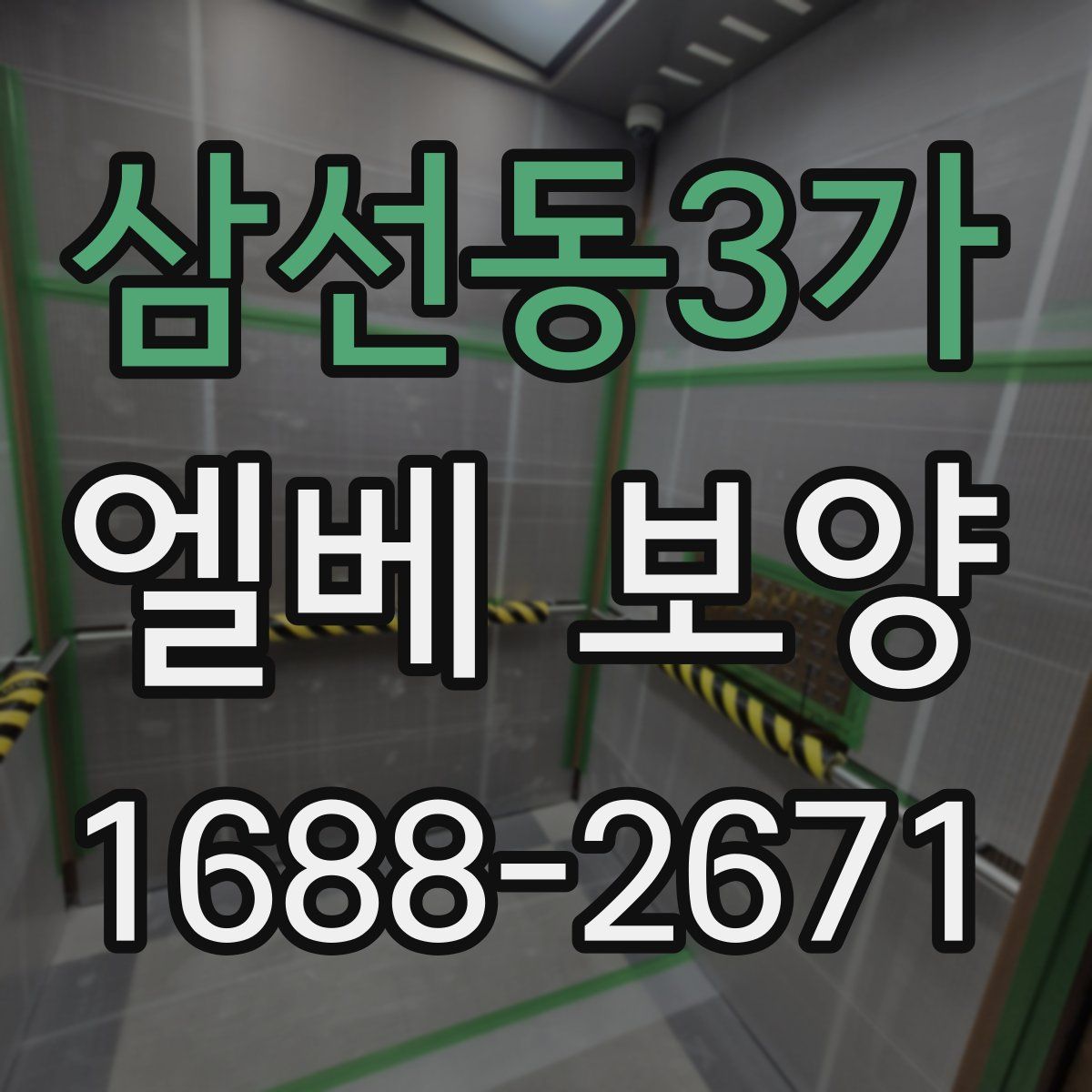삼선동3가 엘베 보양
