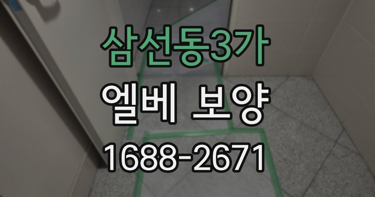 삼선동3가 엘베 보양