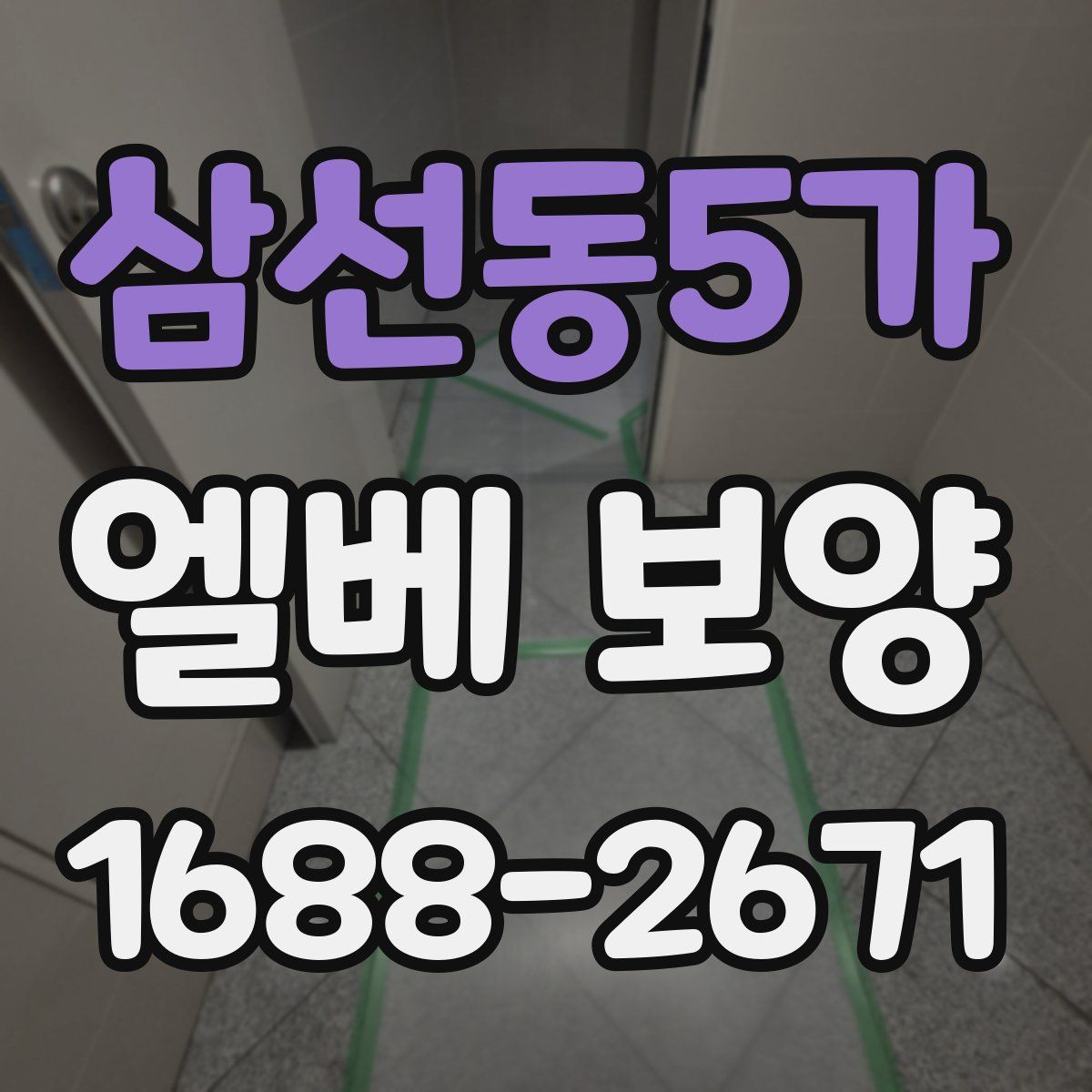 삼선동5가 엘베 보양