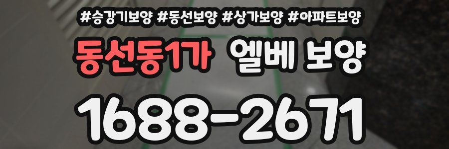 동선동1가 엘베 보양