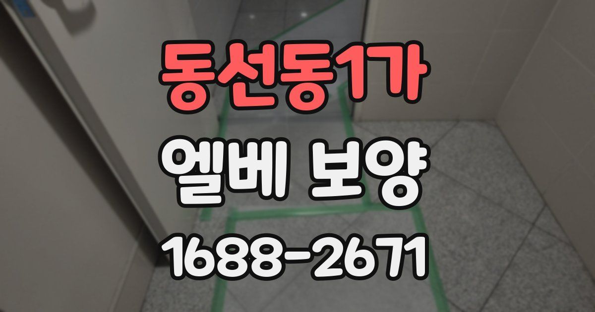 동선동1가 엘베 보양