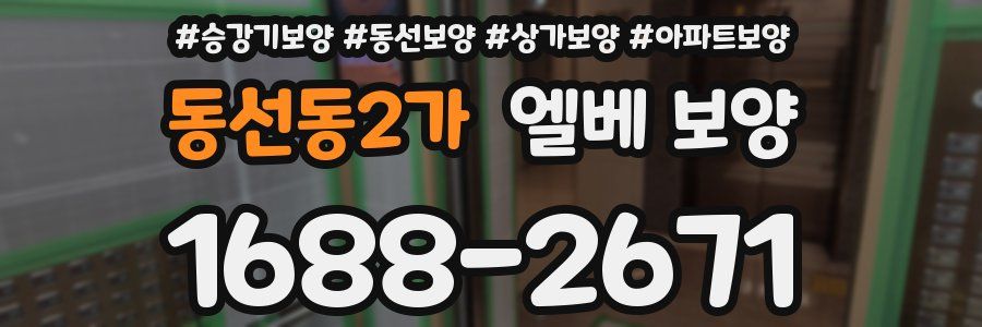동선동2가 엘베 보양