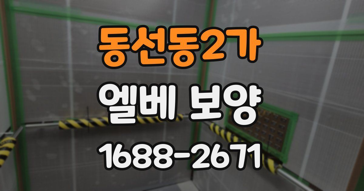 동선동2가 엘베 보양