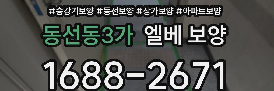 동선동3가 엘베 보양