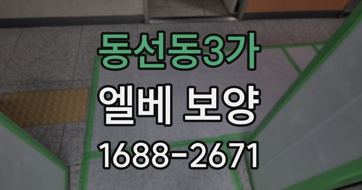 동선동3가 엘베 보양