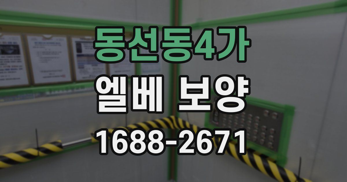 동선동4가 엘베 보양