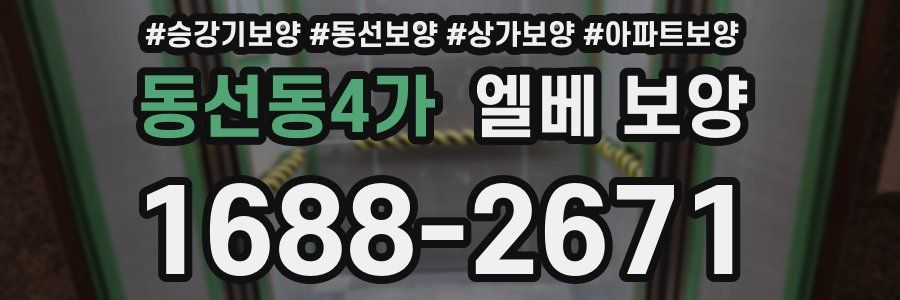 동선동4가 엘베 보양