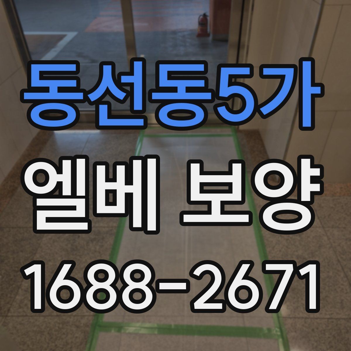 동선동5가 엘베 보양 공사 중 하자 분쟁을 줄이는 기록 방법