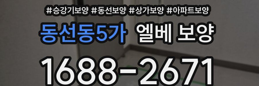 동선동5가 엘베 보양