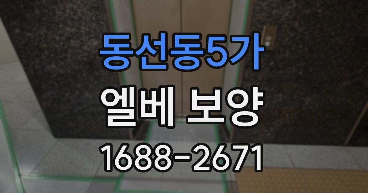 동선동5가 엘베 보양