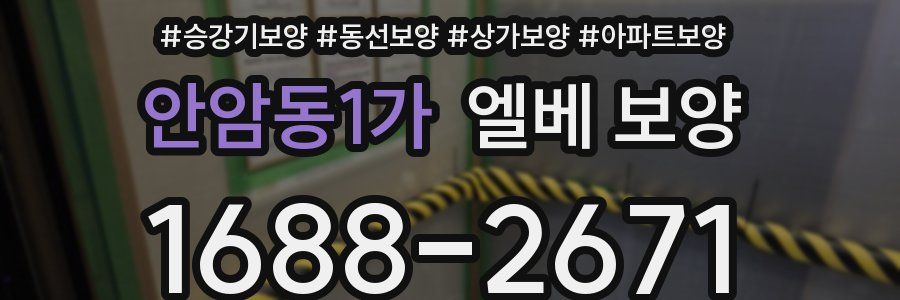 안암동1가 엘베 보양