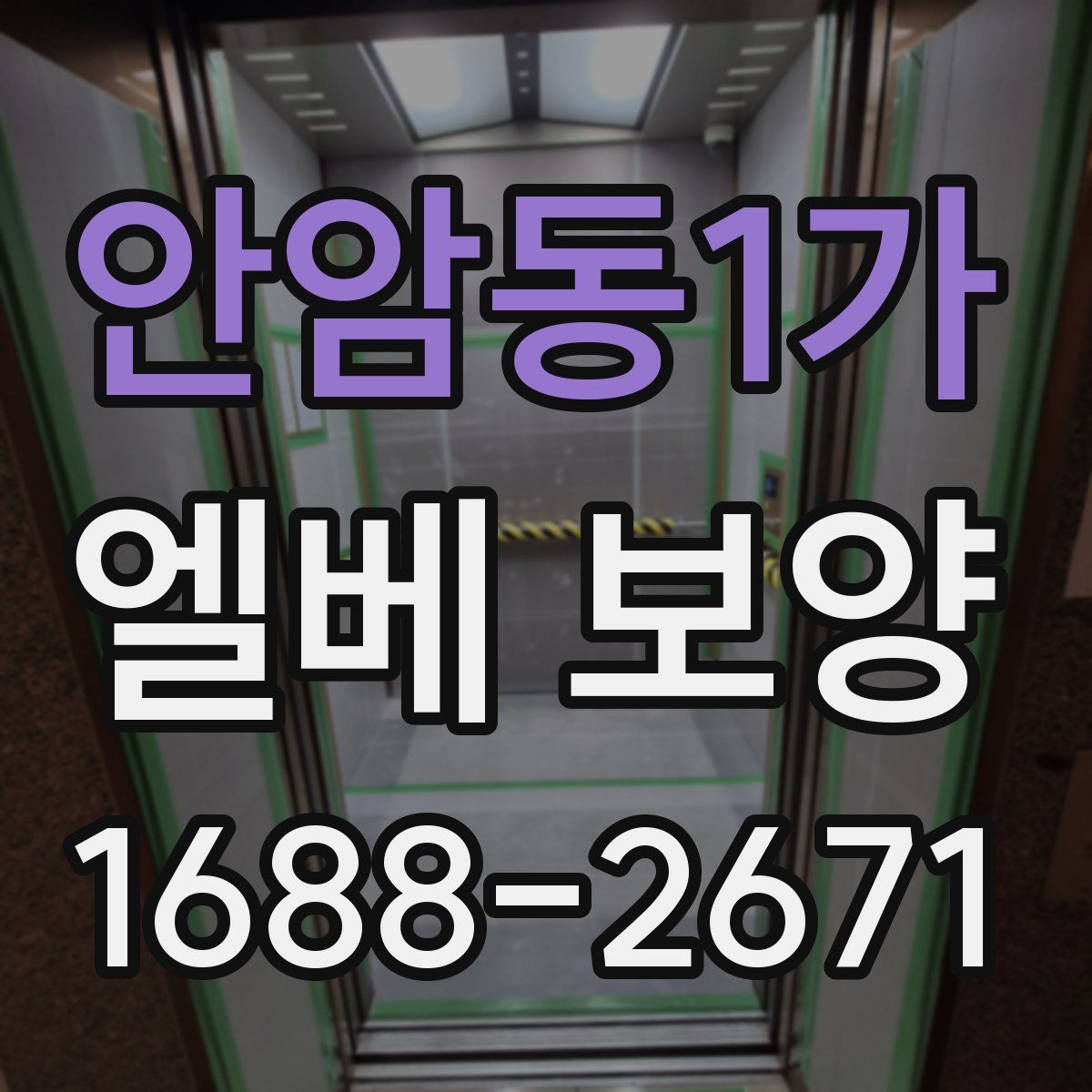 안암동1가 엘베 보양