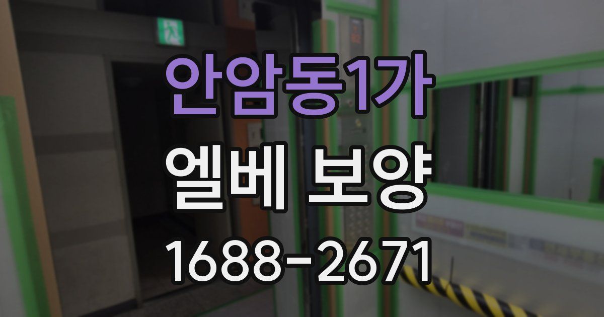 안암동1가 엘베 보양